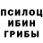 Галлюциногенные грибы GOLDEN TEACHER YoungGrip