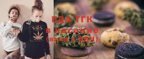 прущие грибы Горняк