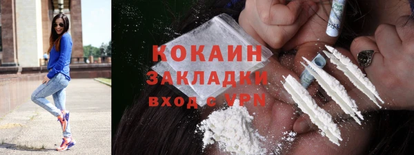 твердый Бронницы